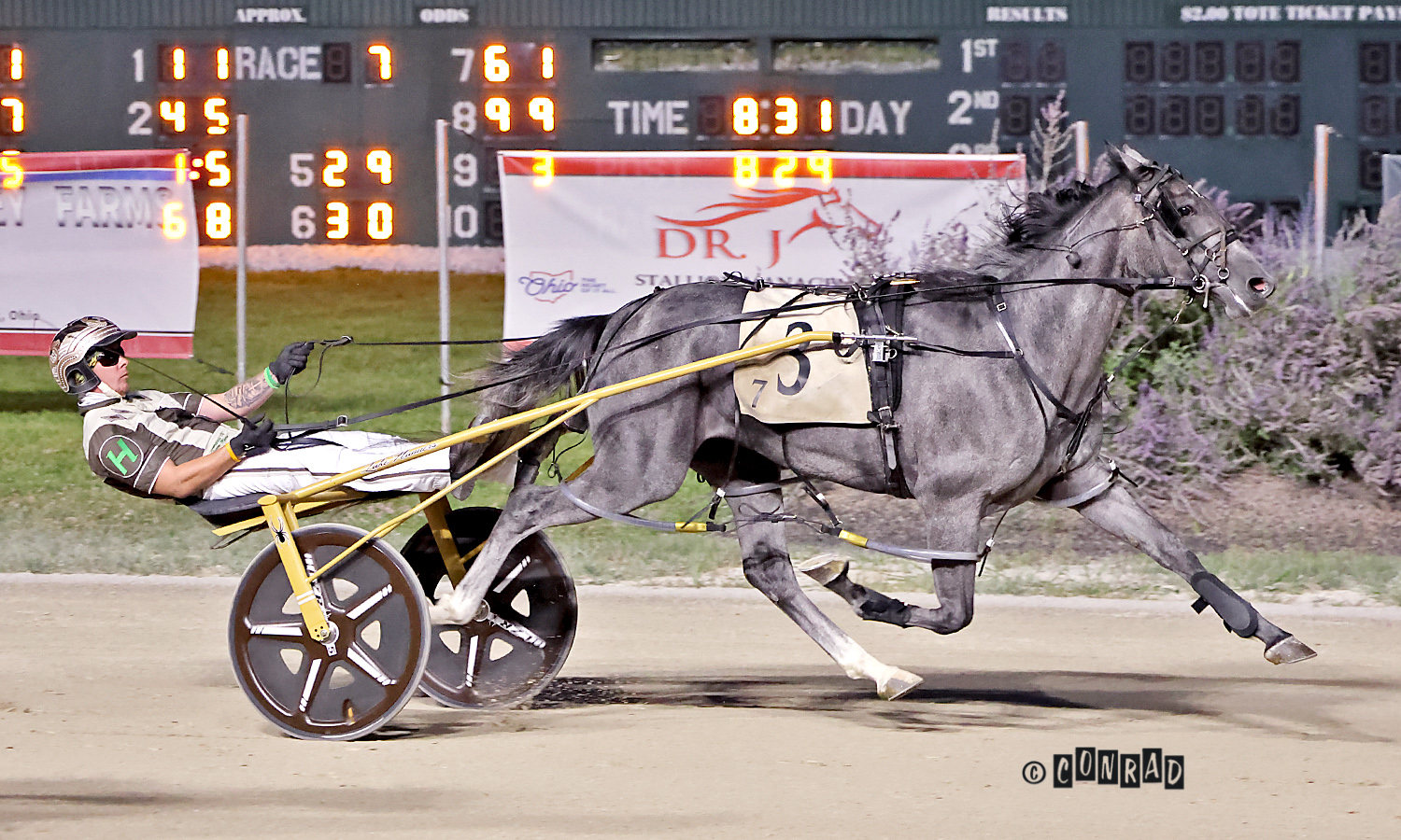 She'safirewoman wins a division in the fourth leg of the Ohio Sires Stakes at Eldorado Scioto Downs on Aug. 23.