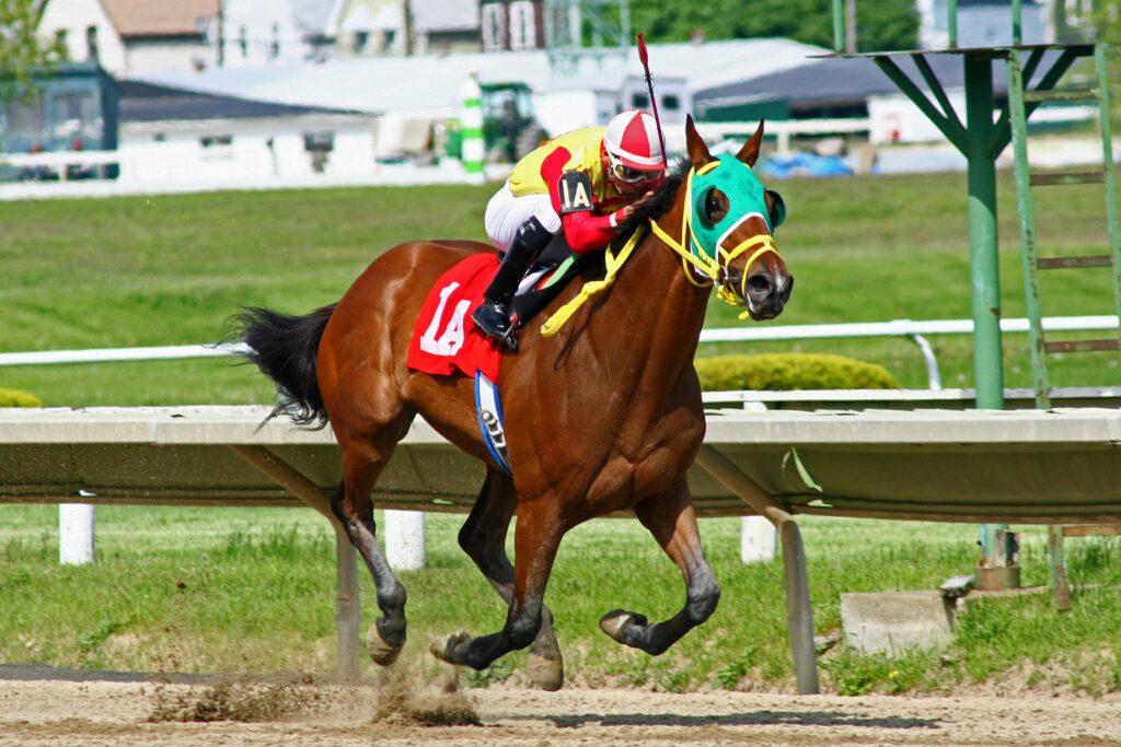 jockey on horse