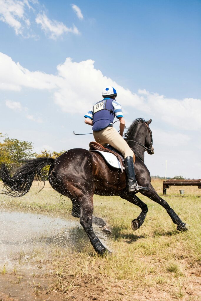 jockey on horse