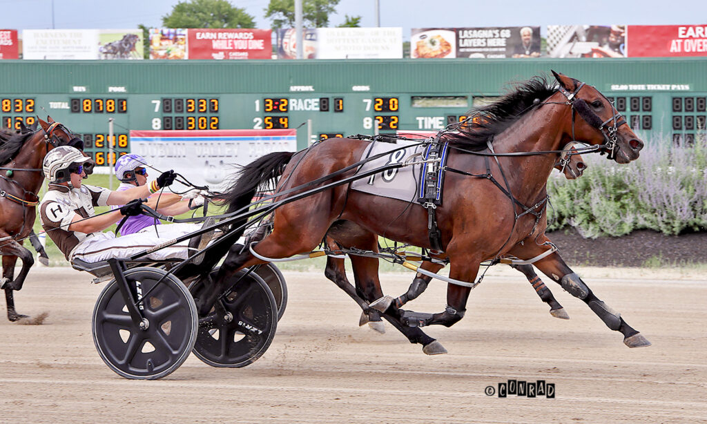 Harness horse race