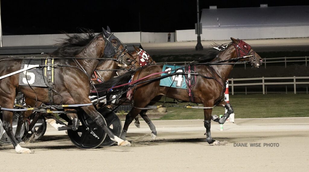 horses racing