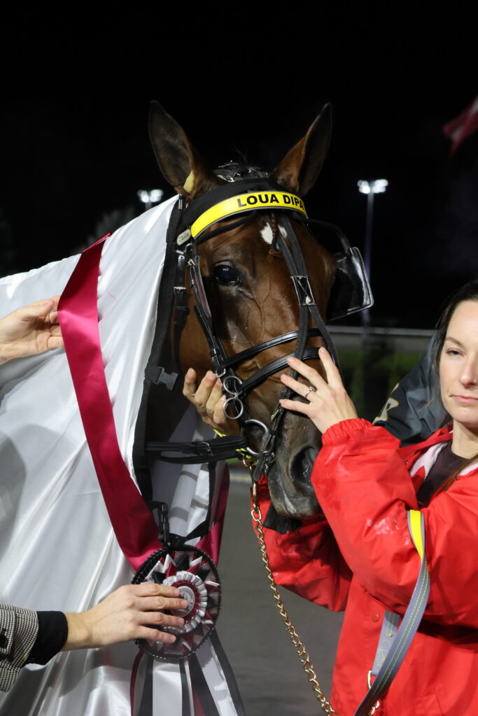 woman with horse