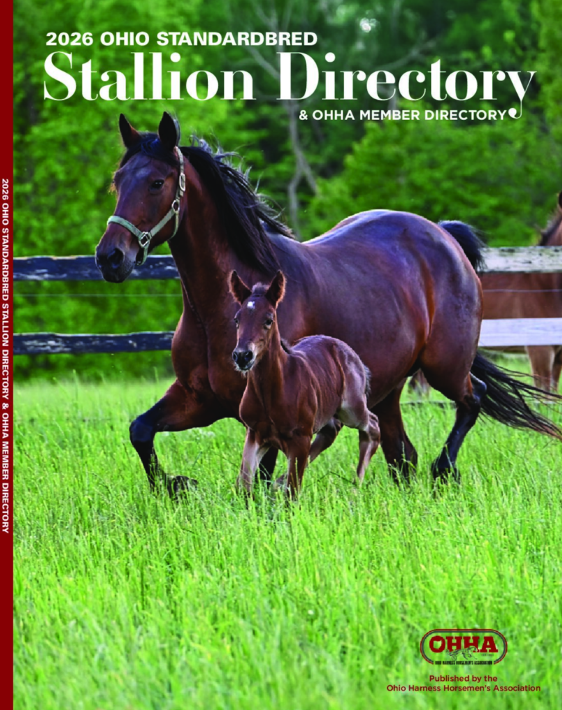 Stallion Directory cover
